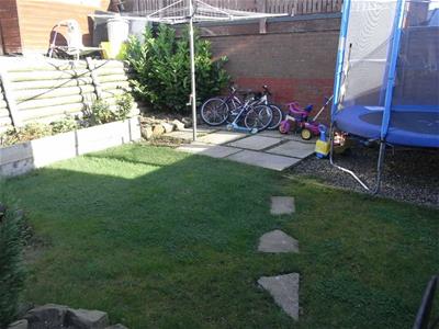 Picture 3
